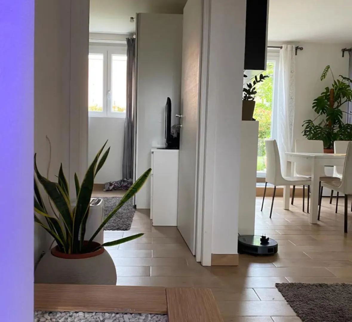 Apartament Appartamento Incantevole Con Parcheggio Gratuito Collecchio